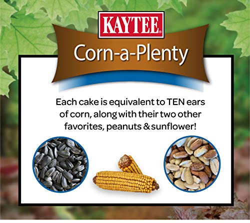 Kaytee Corn A Plenty Treat Seed Cake Food for Wild Squirrels, Chipmunks, Rabbits & Other Backyeard Wildlife, 2.5 Pounds