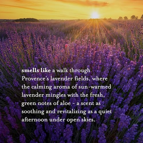 A LA MAISON Lavender Aloe Body Wash 25.36 Fl Oz, 1 Pack