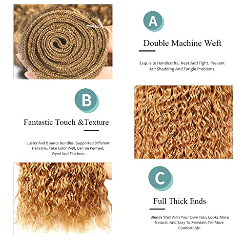 DiexrLamx 27-Blonde J Color 30-34 Inch Honey Blonde Kinky Curly Human Hair Bundles