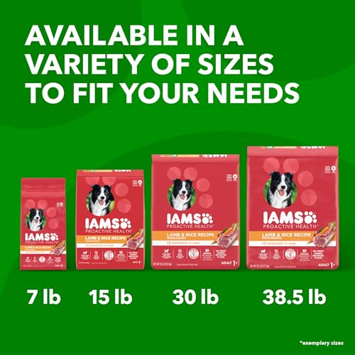 IAMS Minichunks Adult Dry Dog Food Lamb & Rice Recipe Dog Kibble, 15 lb. Bag