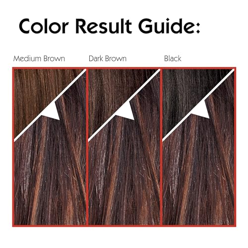 L'Oreal Paris Couleur Experte 2-Step Hair Color & Highlights Kit