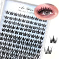 Lash Clusters Wispy Eyelash Clusters DIY Eyelash Extensions 10-16MM C Curl Natural Individual Lashes Fairy 120Pcs Manga Lashes Cluster, DIY Lash Extensions at Home (K02)