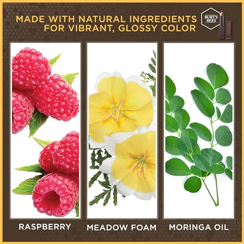 Burt's Bees 100% Natural Glossy Lipstick,Rose Falls - 1 Tube