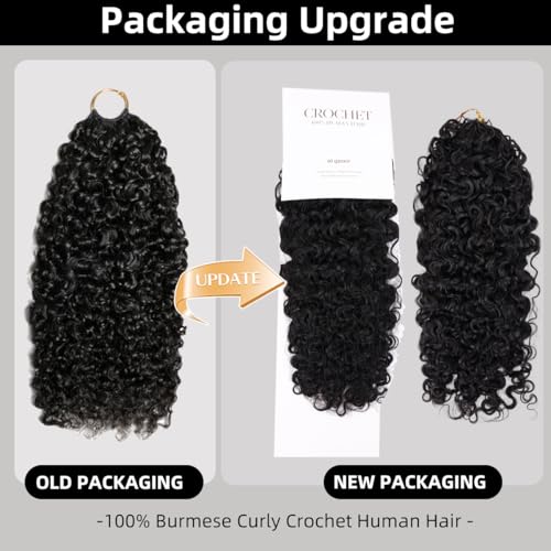 Burmese Curly Crochet Human Hair 120g - Knotless Pre-Separated