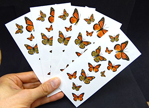 55 Monarch Butterfly Temporary Tattoos - 5 Sheets