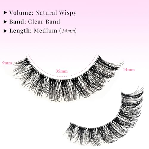 Wispy False Eyelashes - Cat Eye Strips, Clear Band, 20 Pairs