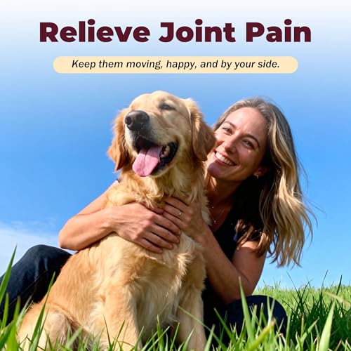 Dog Arthritis Pain Relief Oral Suspension - Joint Support 1.08oz