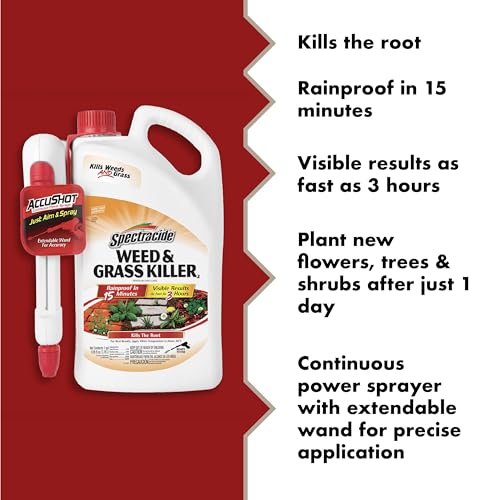 Spectracide Weed & Grass Killer with AccuShot Power Sprayer 1 Gal (Pack of 4)