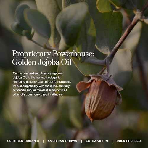 Ogee Complexion Perfecting Liquid Foundation - Lightweight Tinted Moisturizer For Face (Linden 1.25N - Light Beige, Neutral Undertone) - with Vitamin C & Jojoba Oil - Certified Organic & Made in USA