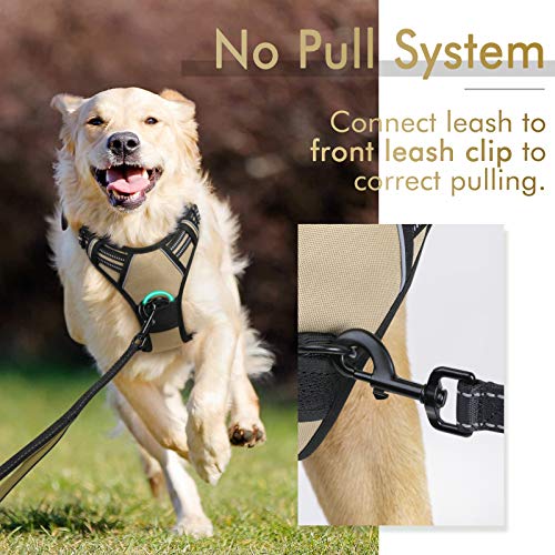 rabbitgoo Dog Harness, No-Pull Pet Harness with 2 Leash Clips, Adjustable Soft Padded Dog Vest, Reflective No-Choke Pet Oxford Vest with Easy Control Handle for Small Dogs, Beige, S