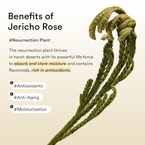Abib Collagen Eye Care Duo ? Jericho Rose Eye Cream Tube & Jelly Eye Patches for Wrinkles & Fine Line with Jericho Rose Jelly, Korean Skin Care