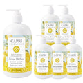CAPRI ESSENTIALS Hand Soap Liquid, Natural Household Cleaning Supplies, Gentle Plant Based Aromatic Hand Wash, Blend of Essential Oils, Removes Dirt & Grime, Lemon Verbena Scent, 16 FL Oz (6 Pack)