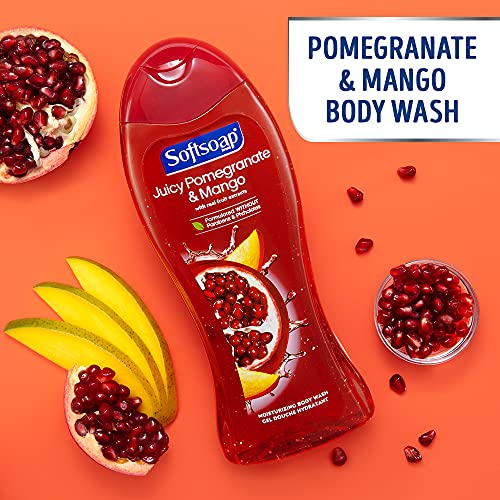 Softsoap Moisturizing Body Wash, Pomegranate and Mango - 20 Fl Oz (Pack of 4)