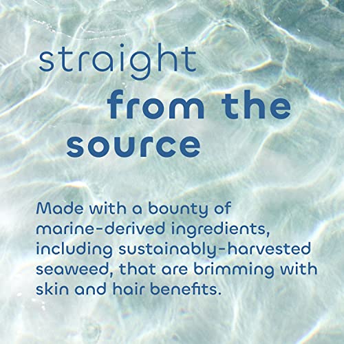 Seaweed Bath Co. Heat Care Shampoo, Lime Papaya Scent, 12 Ounce, Sustainably Harvested Seaweed, Sea Buckthorn, Kakadu Plum, For Heat Damaged Hair