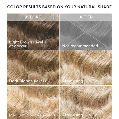 Madison Reed Radiant Hair Color Kit | 10NGV Light Golden Blonde