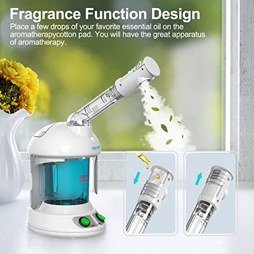 Denfany 2-in-1 Hair & Facial Steamer with 360° Arm