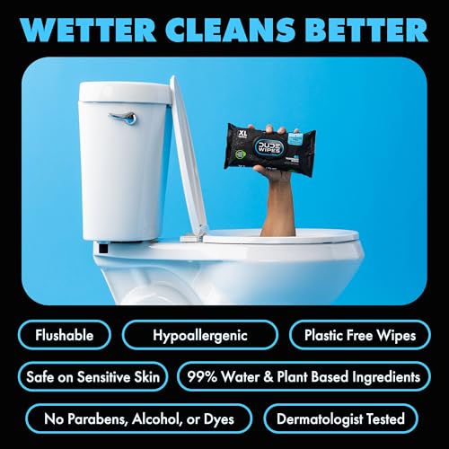 DUDE Wipes Unscented Flushable Wet Wipes for Sensitive Skin - 288 Count