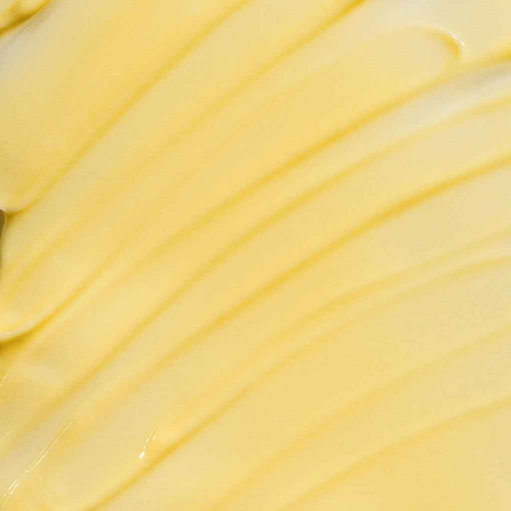 Nopalera Dulce de Cuerpo Cactus Cream - Moisturizing Body Lotion with Prickly Pear Oil, Amber, Citrus, and Warm Vanilla Fragrance, Vegan, 8 oz.