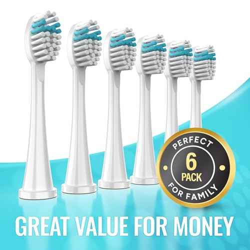 Toothbrush Replacement Heads Compatible with Waterpik Sonic Fusion 2.0 & Flossing Toothbrush SF01/SF02/SF03/SF04, Replacement Heads with Dupont Nylon & Color Fade Bristles - 6 Pack