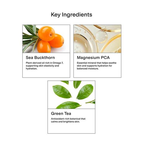 CLEARSTEM - GENTLECLEAN Vitamin C Infused Calming Wash - Facial Cleanser, Makeup Remover - Goldenseal + Green Tea - Facial Skin Care Products - Gluten Free, Cruelty Free - 6 fl oz / 207ml