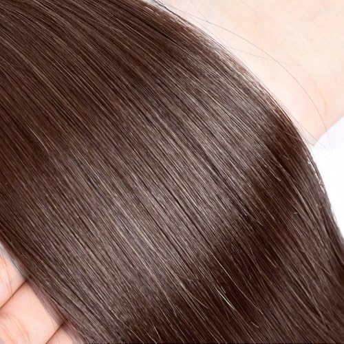 AuokMar 12-34 Inch Chocolate Brown Human Hair Bundles - Straight 3 Pack, 160g