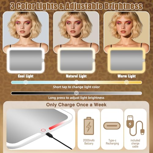 Large Travel Makeup Bag with LED Detachable Mirror - Leopard, Extra Large, Waterproof