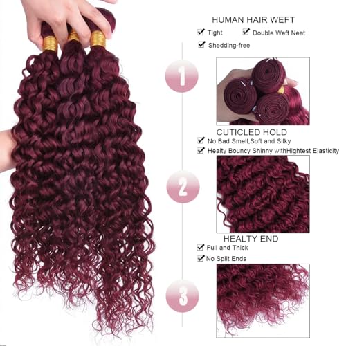 #99J Burgundy Water Wave Human Hair Bundles 26 Inch
