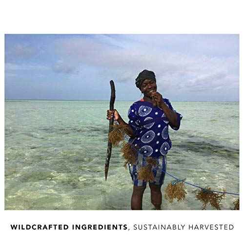 Baobab Face Oil | Microbiome Friendly, Luxurious Face Care | Baobab, Cacay, Seaweed, Sandalwood | Vegan, Clean Label (20 ml)