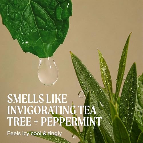 Tea Tree Conditioner for All Hair Types | Detangle & Soften