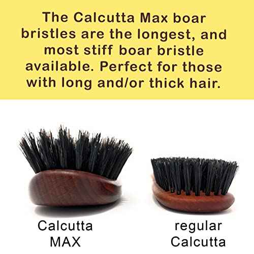 Calcutta Max ? 100% Pure Calcutta Extra Stiff Wild Boar Bristle Hair Brush ? Best Natural Hair Brush ? Thick Hairbrush for Styling & Smoothing ? Dark Maple Wood Handle ? Made in Europe