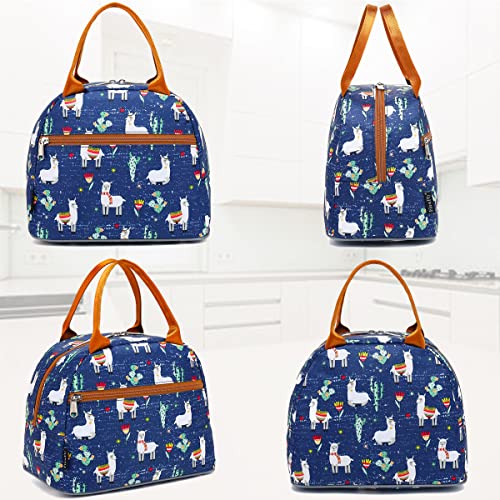 FlowFly Lunch Bag Tote Bag Lunch Organizer Lunch Holder Insulated Lunch Cooler Bag for Women/Men,Owl