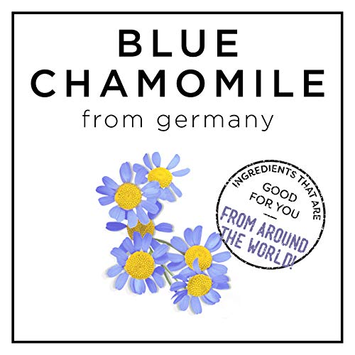 HASK BLUE CHAMOMILE 5-in-1 Leave In Conditioner Spray for blonde hair, color safe, gluten free, sulfate free, paraben free - BLUE CHAMOMILE 2 PIECE SET