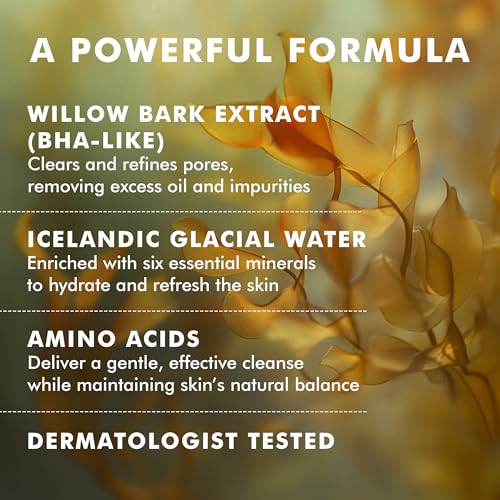 Skyn ICELAND Glacial Face Wash with White Willow Bark, Creamy Foaming Cleanser for Oily & Combination Skin, 5 Fl Oz