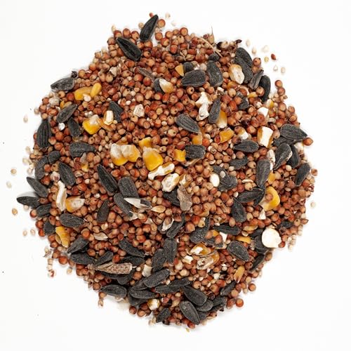 Wagner's Farmer's Delight Wild Bird Food, 10-Pound Bag