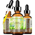 Botanical Beauty Organic SOYBEAN OIL 100% PURE Natural Refined Cold Pressed Carrier Oil for FACE, SKIN, BODY, HAIR, NAILS Skin Moisturizer, Skin Nourishing (1 Fl Oz 30 ml)