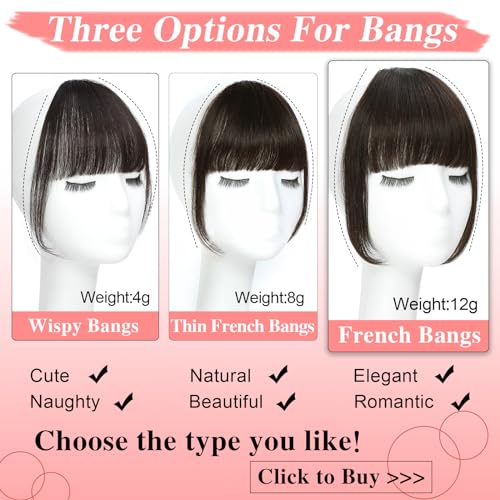 Berracy Bangs Hair Clip in Bangs 100% Real Human Hair Extensions French Bangs Fringe with Temples Flat Neat Fake Thick Hairpieces for Women Daily Wear Dark Brown