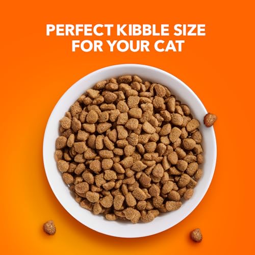 IAMS PROACTIVE HEALTH Adult Indoor Weight Control & Hairball Care Dry Cat Food with Chicken & Turkey Cat Kibble, 7 lb. Bag