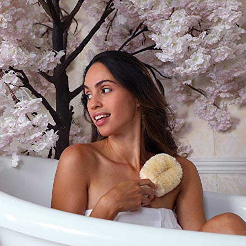 DAILY CONCEPTS Sisal Body Brush