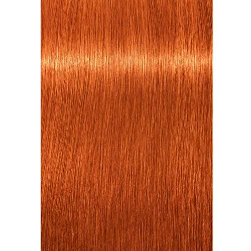 Schwarzkopf Igora Royal Permanent Hair Color 8-77 Light Blonde Copper
