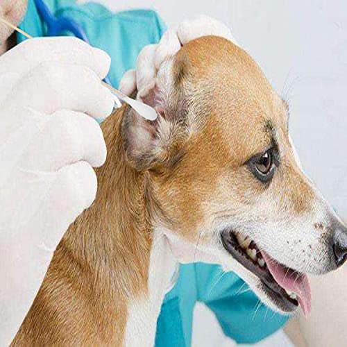 6 Inch Cotton Swabs for Pets - 100pcs Large Size