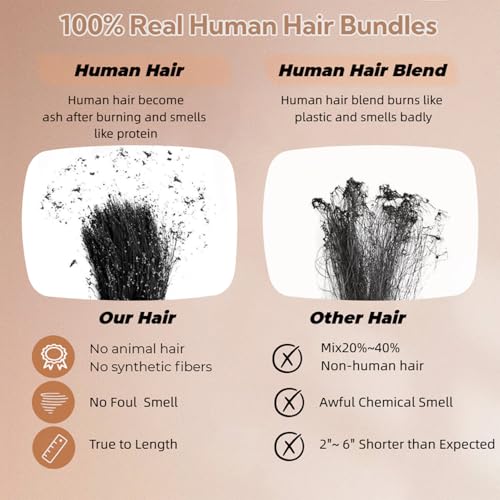 Burmese Curly Hair Bundles 14" - 100% Virgin Human Hair