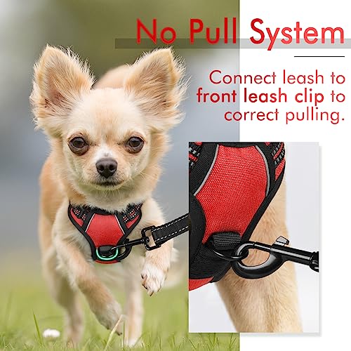 rabbitgoo Dog Harness, No-Pull Pet Harness with 2 Leash Clips, Adjustable Soft Padded Dog Vest, Reflective No-Choke Pet Oxford Vest with Easy Control Handle for Small Dogs, Red,XS