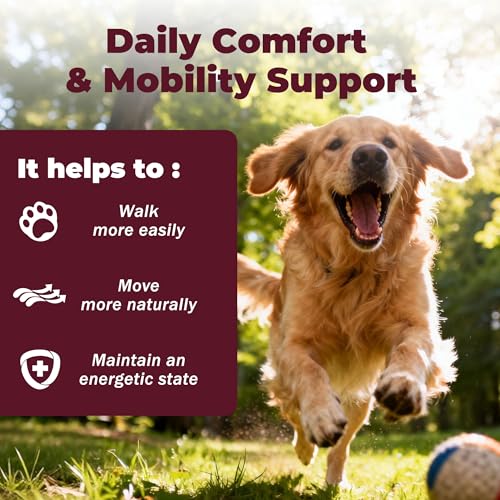 Dog Arthritis Pain Relief Oral Suspension - Joint Support 1.08oz