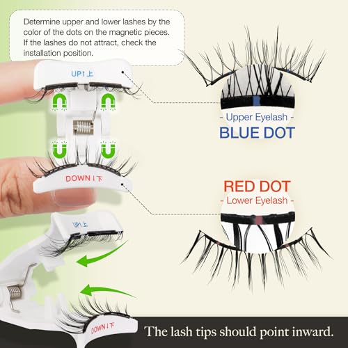LASHVIEW Upgrade Soft Magnetic Eyelashes with Applicator, Reusable Magnetic Lashes Natural Look, No Glue Needed, Windproof & Waterproof for All-Day Comfort (L01)