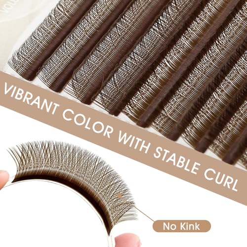 4D YY Eyelash Extension Colored 0.07mm C Curl 8-14mm Mixed Tray Premade Fan 2D Y Shape Volume Lash 12 Rows Color Lashes (8-14 MIX, Brown, 0.07 C)