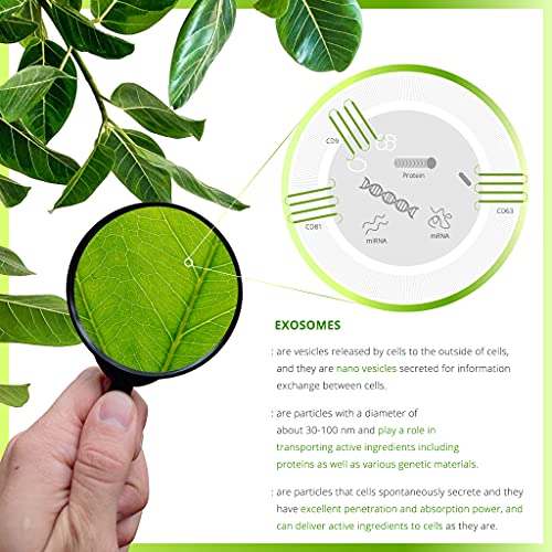 Exosome Cream, Nourishing Moisturizer for Face, Ginseng tree Exosome, Quick-absorbing, Vegan, All Skin types, 1.69 Fl Oz