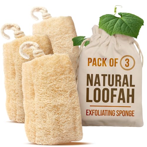 Egyptian Loofah Sponge Pack of 3 - Natural Body Scrubber