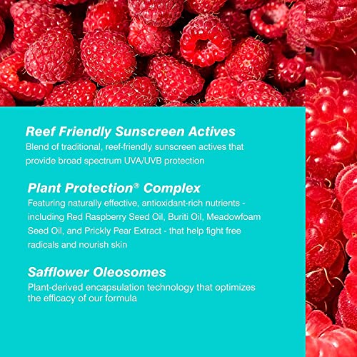 COOLA Organic Sunscreen SPF 70 Sunblock Spray, Dermatologist Tested Skin Care for Daily Protection, Vegan and Gluten Free, Peach Blossom
