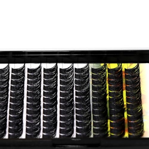 D Curl Wide Stem 5D Volume Eyelashes 12mm