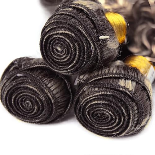 Fridnae Ombre Brown Curly Wave Human Hair Bundles - 12-16 Inch